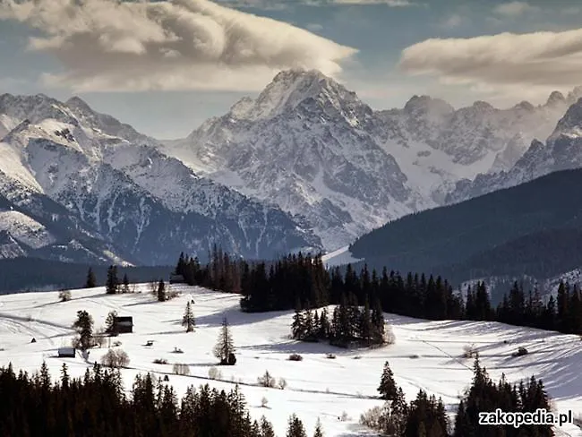 Bed & Breakfast Nad Grapa